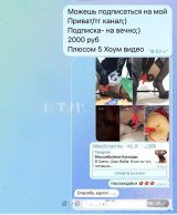 Миниатюра Индивидуалка Рабынька Фотография 